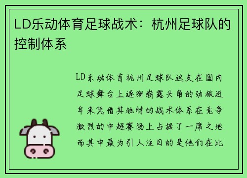 LD乐动体育足球战术：杭州足球队的控制体系