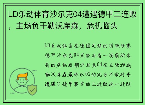 LD乐动体育沙尔克04遭遇德甲三连败，主场负于勒沃库森，危机临头